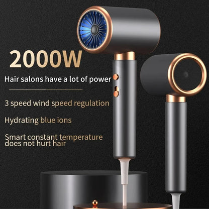 2000W Professional Ionic Hair Dryer - 5 Speed Salon Blow Dryer - zyntrixe